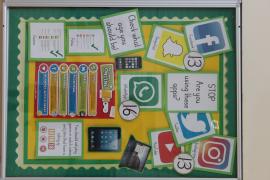 ESafety-Display